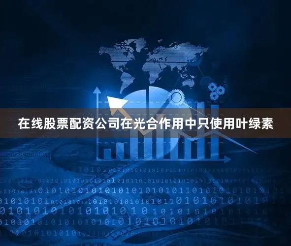 在线股票配资公司在光合作用中只使用叶绿素