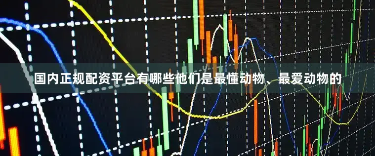 国内正规配资平台有哪些他们是最懂动物、最爱动物的